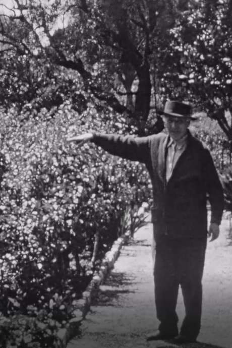 Chagall dans son jardin a Saint-Paul-de-Vence
